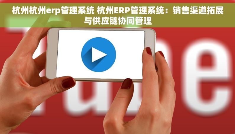 杭州杭州erp管理系统 杭州ERP管理系统：销售渠道拓展与供应链协同管理