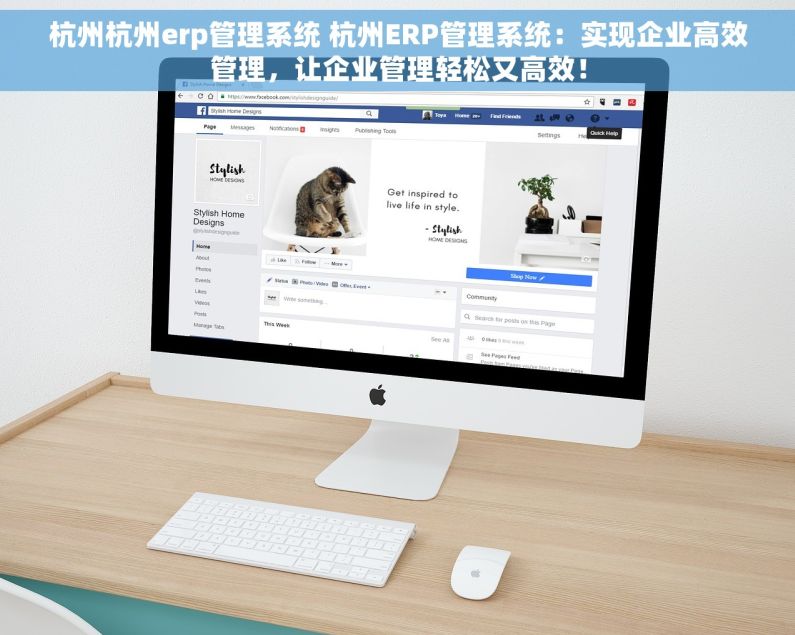 杭州杭州erp管理系统 杭州ERP管理系统：实现企业高效管理，让企业管理轻松又高效！