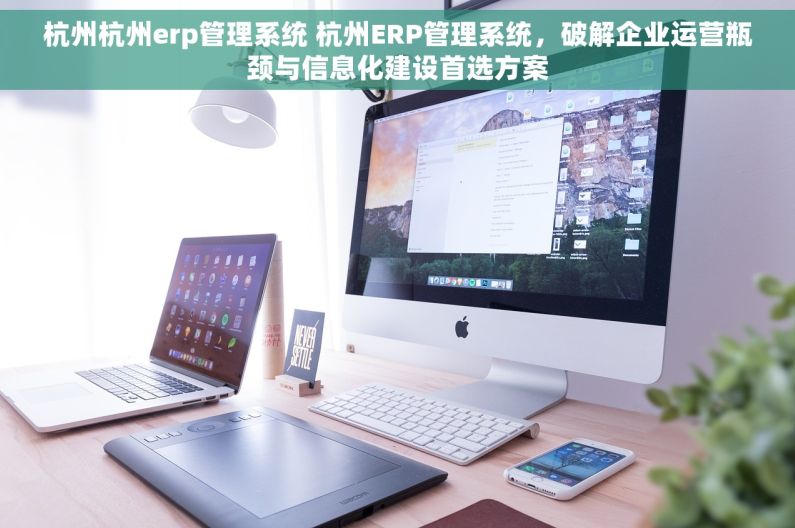 杭州杭州erp管理系统 杭州ERP管理系统，破解企业运营瓶颈与信息化建设首选方案