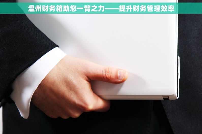 温州财务箱助您一臂之力——提升财务管理效率