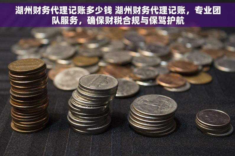 湖州财务代理记账多少钱 湖州财务代理记账，专业团队服务，确保财税合规与保驾护航