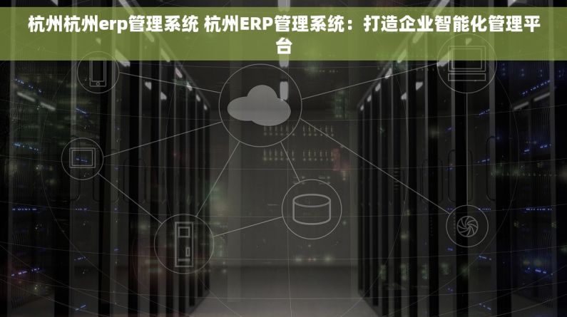 杭州杭州erp管理系统 杭州ERP管理系统：打造企业智能化管理平台
