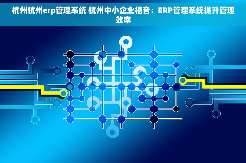 杭州杭州erp管理系统 杭州中小企业福音：ERP管理系统提升管理效率