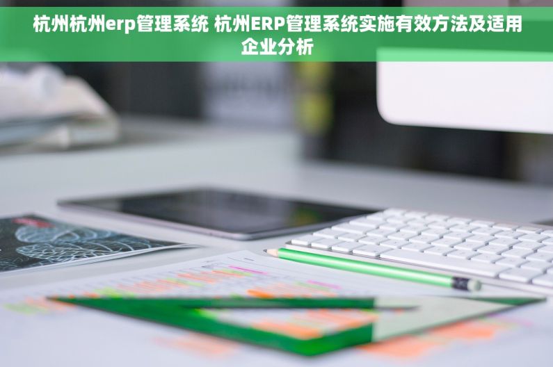 杭州杭州erp管理系统 杭州ERP管理系统实施有效方法及适用企业分析