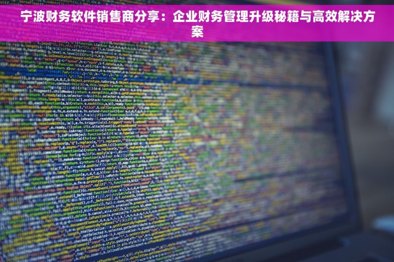 宁波财务软件销售商分享：企业财务管理升级秘籍与高效解决方案