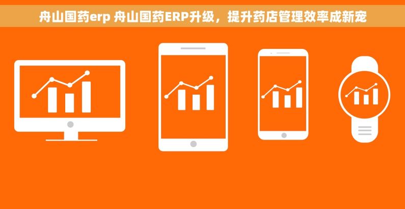 舟山国药erp 舟山国药ERP升级，提升药店管理效率成新宠