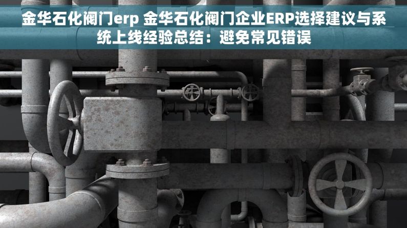 金华石化阀门erp 金华石化阀门企业ERP选择建议与系统上线经验总结：避免常见错误