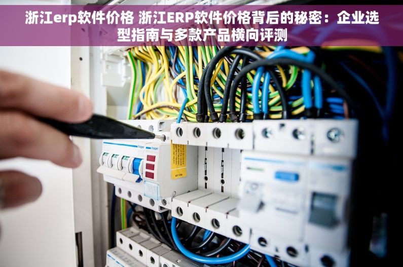 浙江erp软件价格 浙江ERP软件价格背后的秘密：企业选型指南与多款产品横向评测