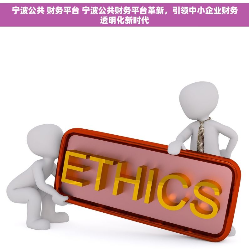 宁波公共 财务平台 宁波公共财务平台革新，引领中小企业财务透明化新时代
