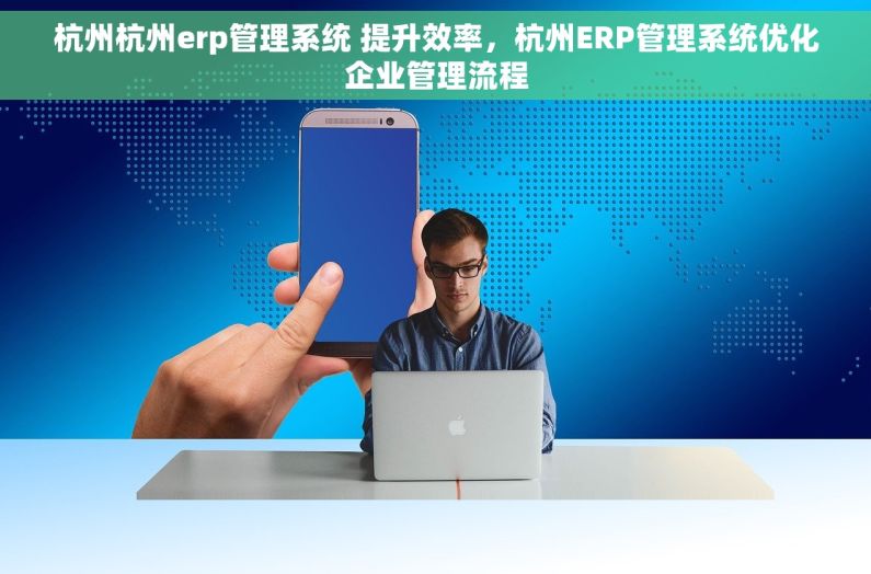 杭州杭州erp管理系统 提升效率，杭州ERP管理系统优化企业管理流程