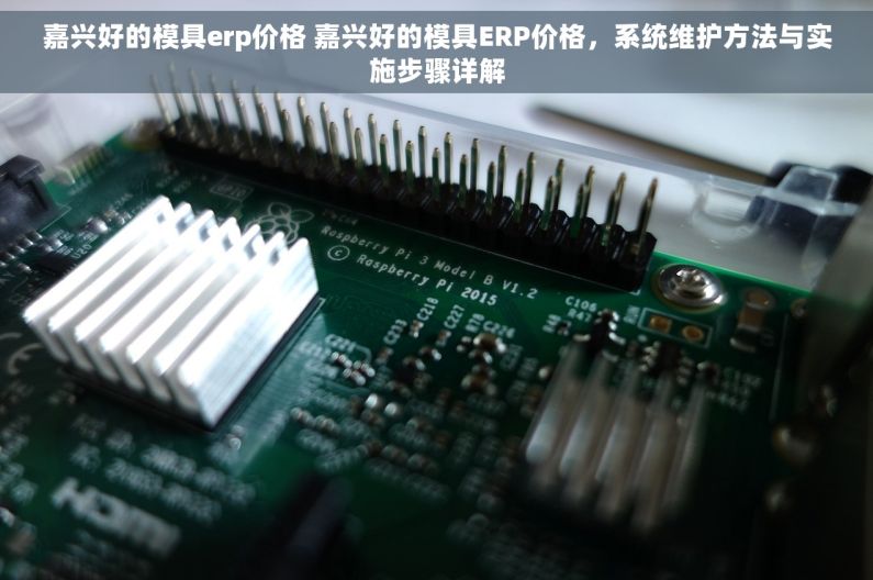 嘉兴好的模具erp价格 嘉兴好的模具ERP价格，系统维护方法与实施步骤详解