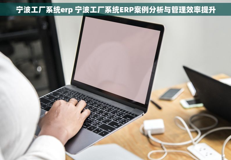 宁波工厂系统erp 宁波工厂系统ERP案例分析与管理效率提升