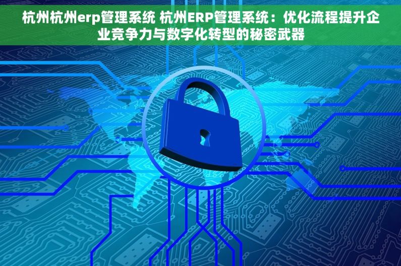 杭州杭州erp管理系统 杭州ERP管理系统：优化流程提升企业竞争力与数字化转型的秘密武器