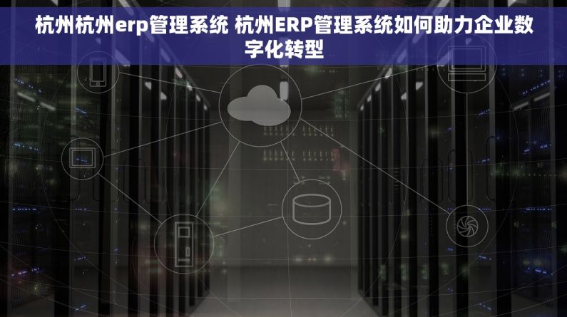 杭州杭州erp管理系统 杭州ERP管理系统如何助力企业数字化转型