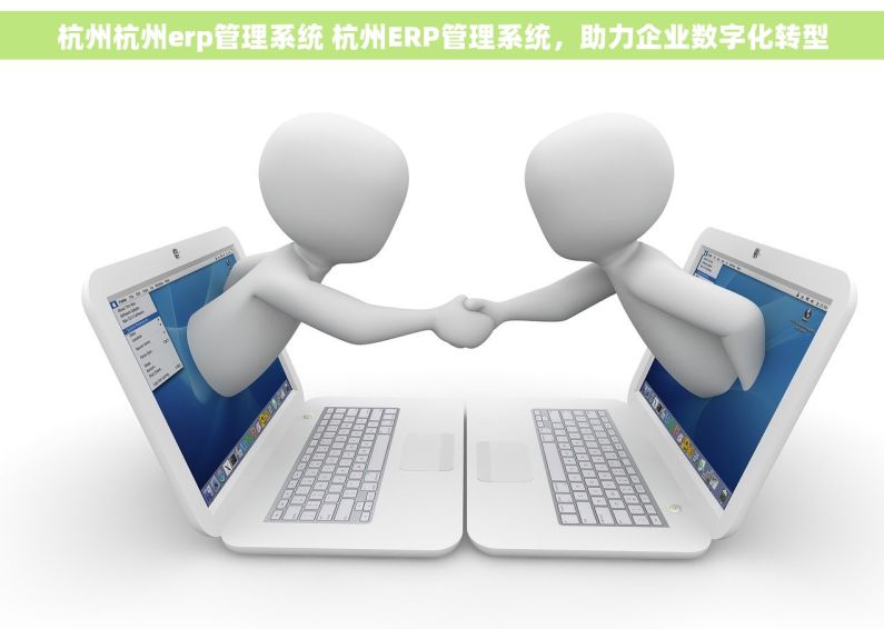 杭州杭州erp管理系统 杭州ERP管理系统，助力企业数字化转型