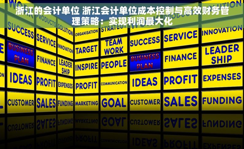 浙江的会计单位 浙江会计单位成本控制与高效财务管理策略：实现利润最大化
