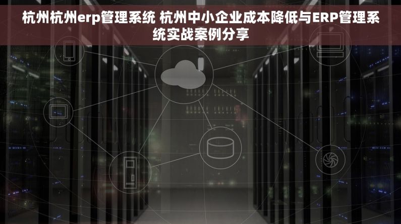杭州杭州erp管理系统 杭州中小企业成本降低与ERP管理系统实战案例分享