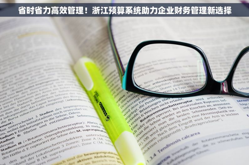 省时省力高效管理！浙江预算系统助力企业财务管理新选择