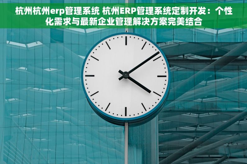 杭州杭州erp管理系统 杭州ERP管理系统定制开发：个性化需求与最新企业管理解决方案完美结合