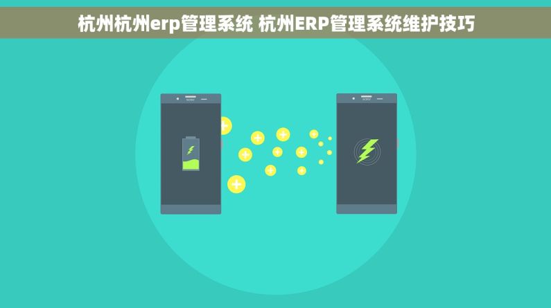 杭州杭州erp管理系统 杭州ERP管理系统维护技巧