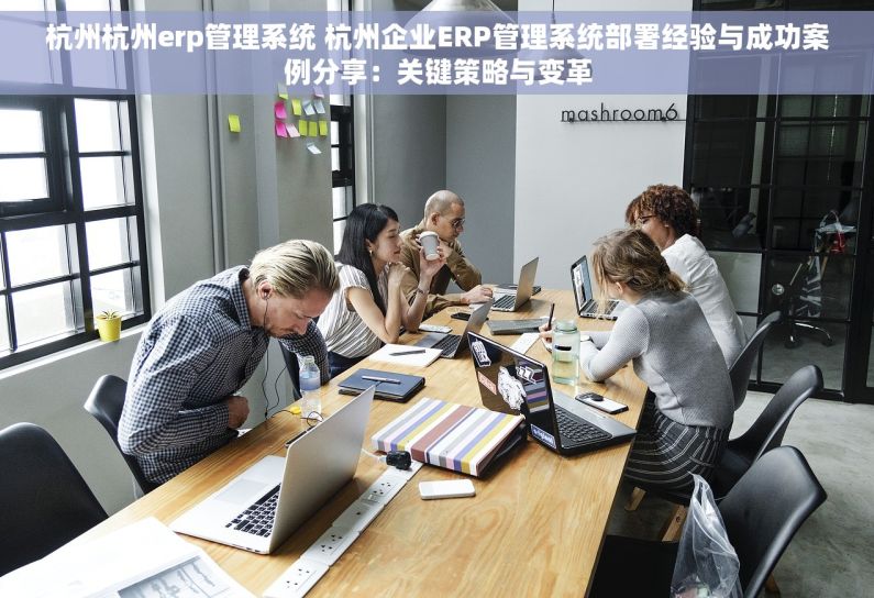 杭州杭州erp管理系统 杭州企业ERP管理系统部署经验与成功案例分享：关键策略与变革