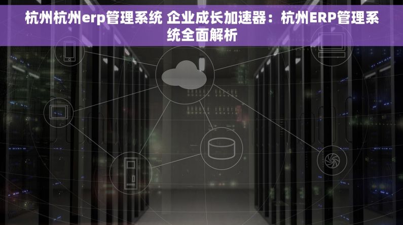 杭州杭州erp管理系统 企业成长加速器：杭州ERP管理系统全面解析