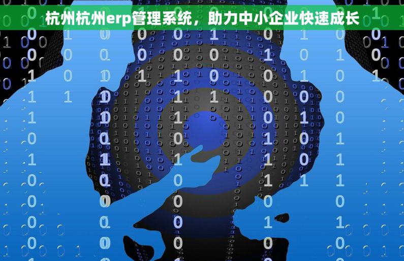 杭州杭州erp管理系统，助力中小企业快速成长