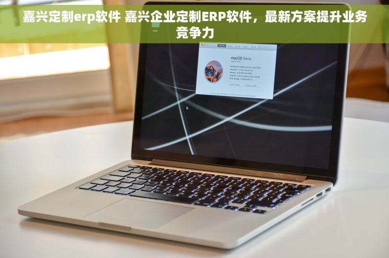 嘉兴定制erp软件 嘉兴企业定制ERP软件，最新方案提升业务竞争力