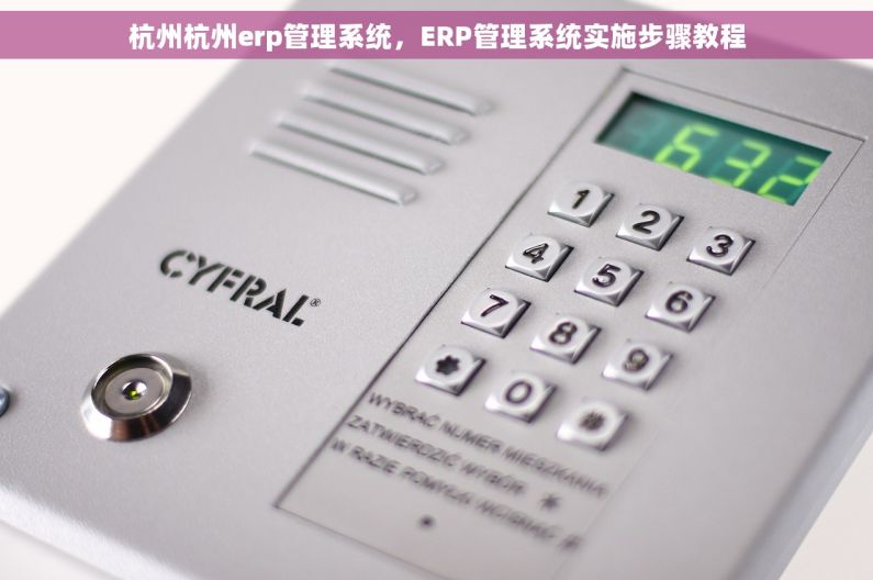 杭州杭州erp管理系统，ERP管理系统实施步骤教程