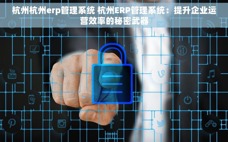 杭州杭州erp管理系统 杭州ERP管理系统：提升企业运营效率的秘密武器