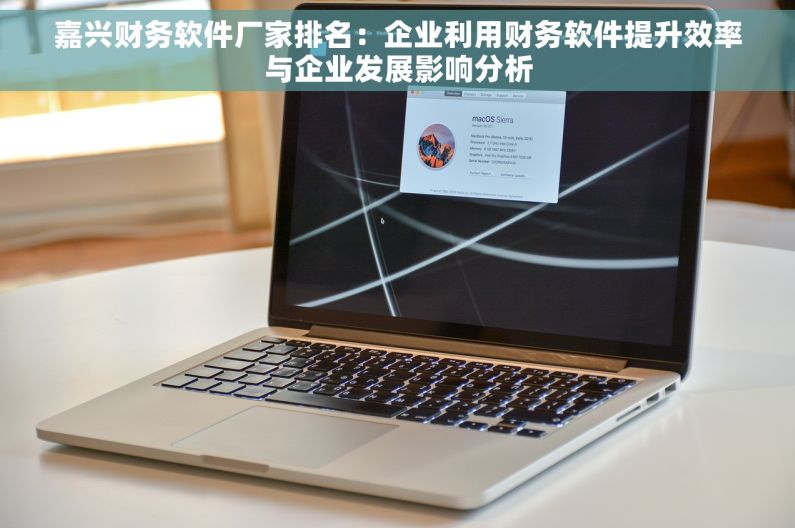 嘉兴财务软件厂家排名：企业利用财务软件提升效率与企业发展影响分析