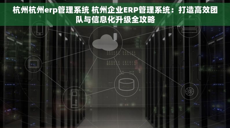 杭州杭州erp管理系统 杭州企业ERP管理系统：打造高效团队与信息化升级全攻略