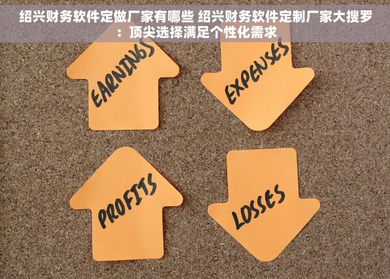 绍兴财务软件定做厂家有哪些 绍兴财务软件定制厂家大搜罗：顶尖选择满足个性化需求