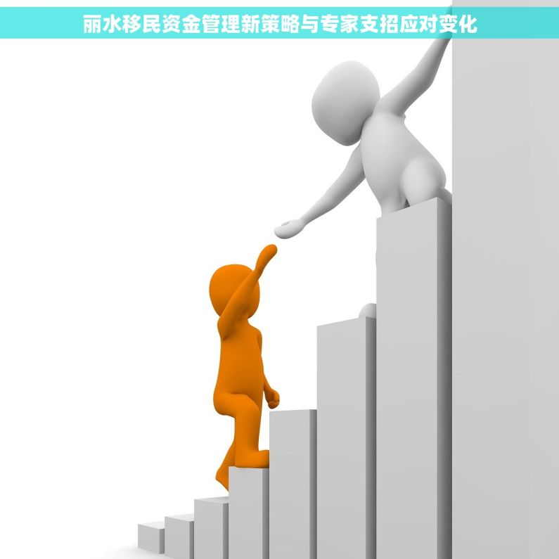 丽水移民资金管理新策略与专家支招应对变化