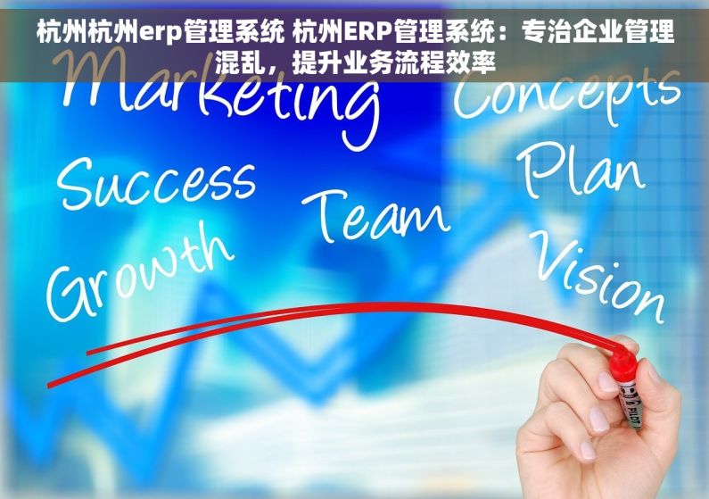 杭州杭州erp管理系统 杭州ERP管理系统：专治企业管理混乱，提升业务流程效率