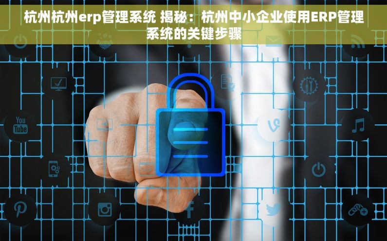 杭州杭州erp管理系统 揭秘：杭州中小企业使用ERP管理系统的关键步骤