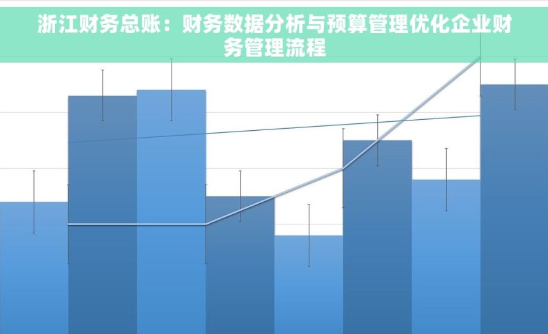 浙江财务总账：财务数据分析与预算管理优化企业财务管理流程