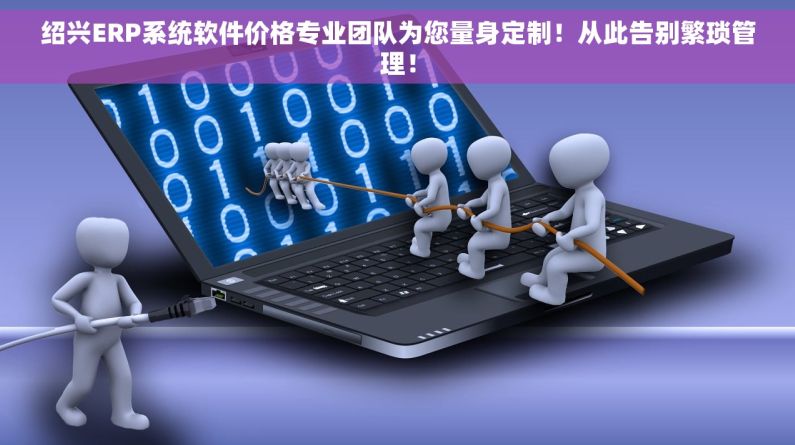绍兴ERP系统软件价格专业团队为您量身定制！从此告别繁琐管理！