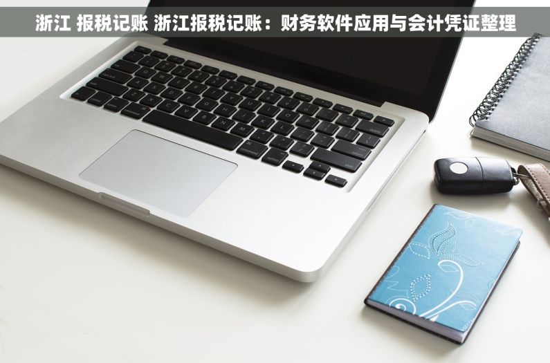 浙江 报税记账 浙江报税记账：财务软件应用与会计凭证整理