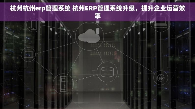 杭州杭州erp管理系统 杭州ERP管理系统升级，提升企业运营效率