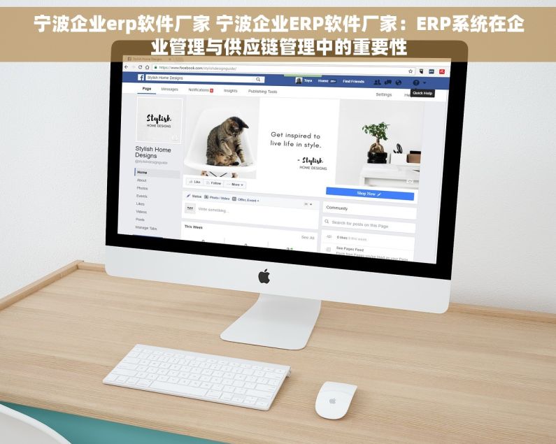 宁波企业erp软件厂家 宁波企业ERP软件厂家：ERP系统在企业管理与供应链管理中的重要性