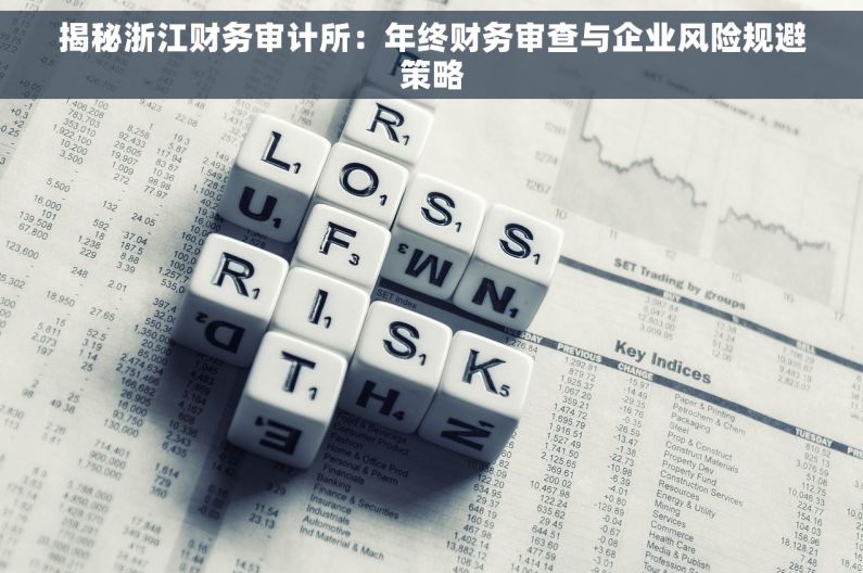 揭秘浙江财务审计所：年终财务审查与企业风险规避策略