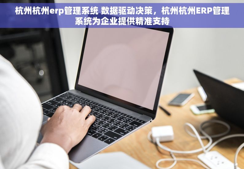 杭州杭州erp管理系统 数据驱动决策，杭州杭州ERP管理系统为企业提供精准支持