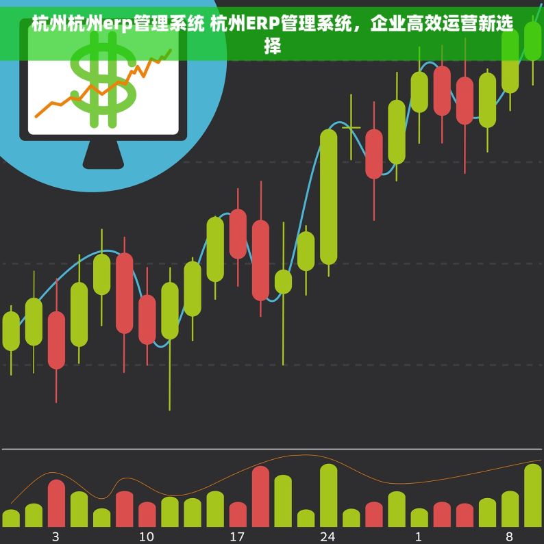 杭州杭州erp管理系统 杭州ERP管理系统，企业高效运营新选择
