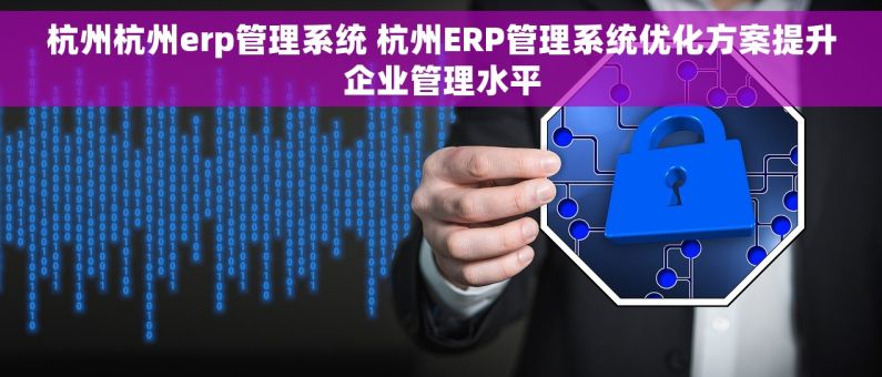 杭州杭州erp管理系统 杭州ERP管理系统优化方案提升企业管理水平