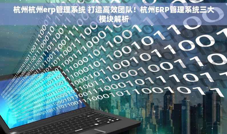 杭州杭州erp管理系统 打造高效团队！杭州ERP管理系统三大模块解析