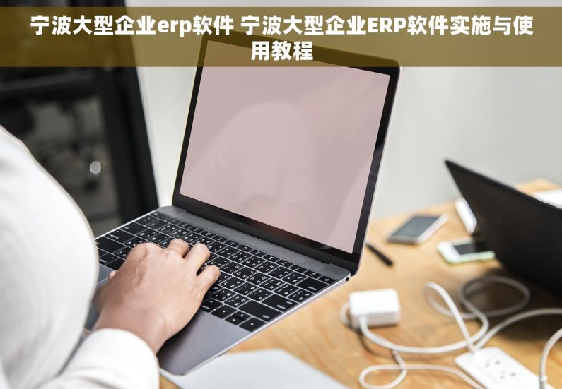 宁波大型企业erp软件 宁波大型企业ERP软件实施与使用教程
