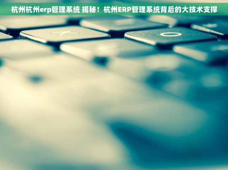 杭州杭州erp管理系统 揭秘！杭州ERP管理系统背后的大技术支撑