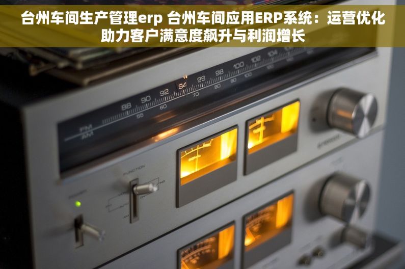 台州车间生产管理erp 台州车间应用ERP系统：运营优化助力客户满意度飙升与利润增长
