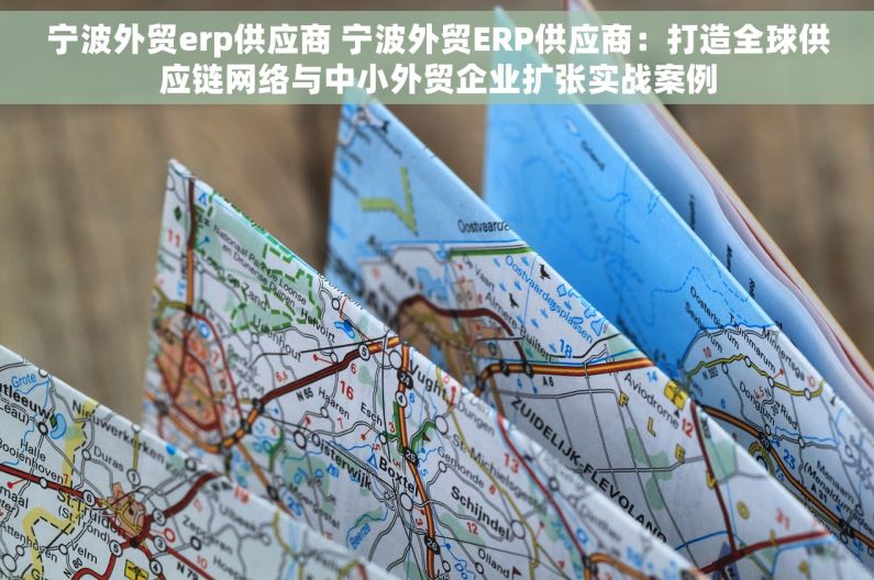 宁波外贸erp供应商 宁波外贸ERP供应商：打造全球供应链网络与中小外贸企业扩张实战案例